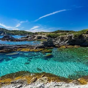 Vacances Idéales Limite Sanary Sur Mer !! Logement Partagé Shared Appartement Ollioules