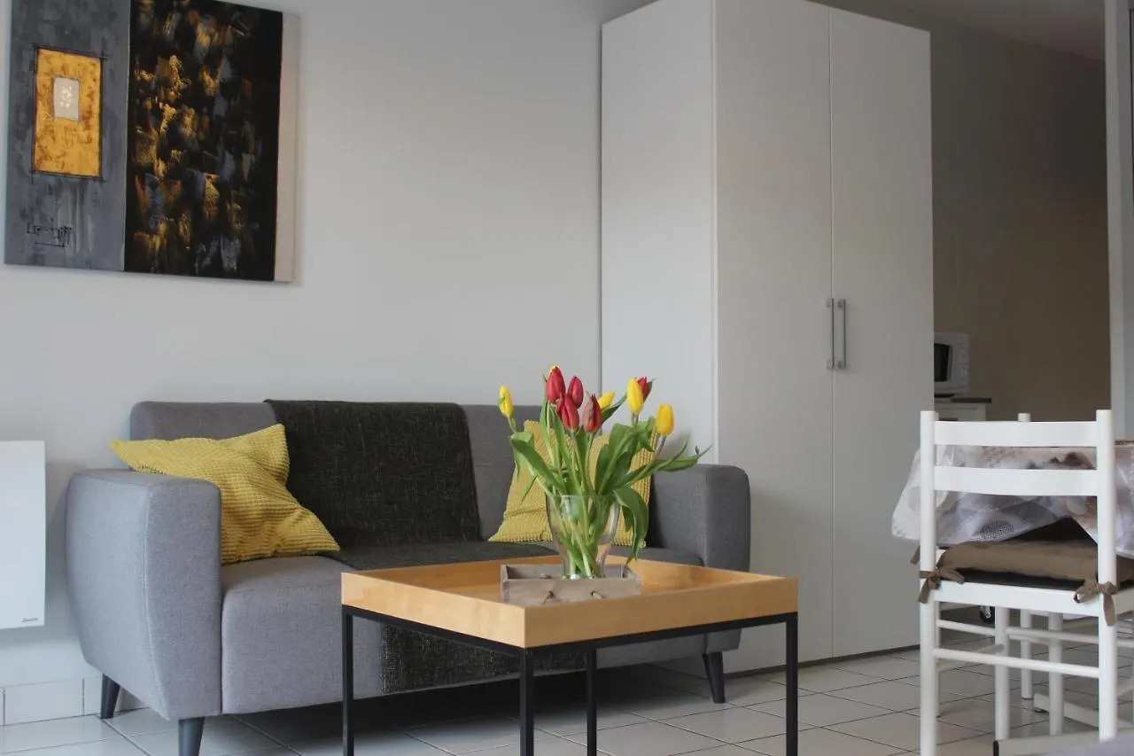 Residence Alma, Studios Face Aux Thermes Chatel-Guyon